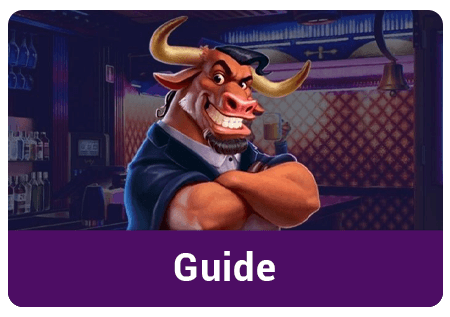 Casino-Guide-Image