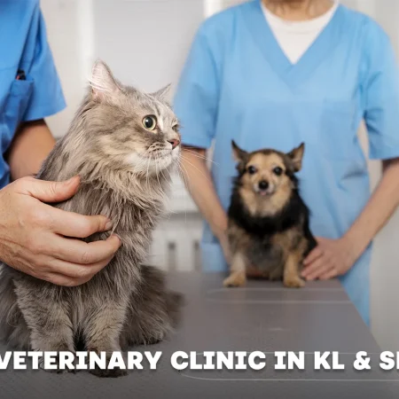 10 Best Popular Veterinary Clinics in KL & Selangor for 2024 (Honest Review)