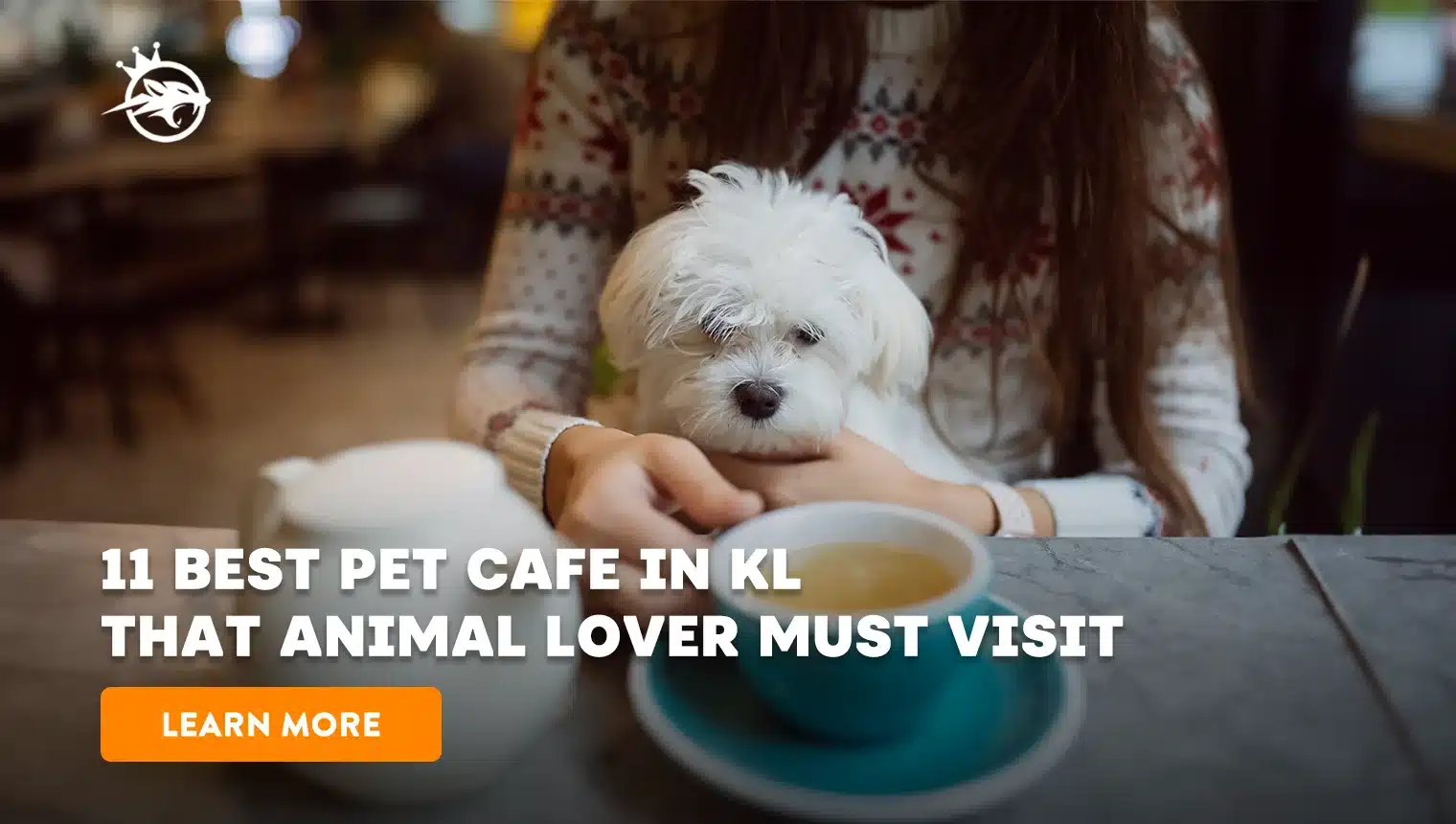 13 Best Pet Cafe in KL that Animal Lovers Must Visit in 2024