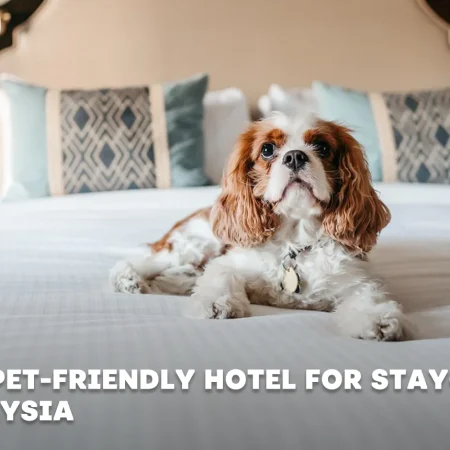 Best 11 Pet Friendly Hotel for Staycation in Malaysia 