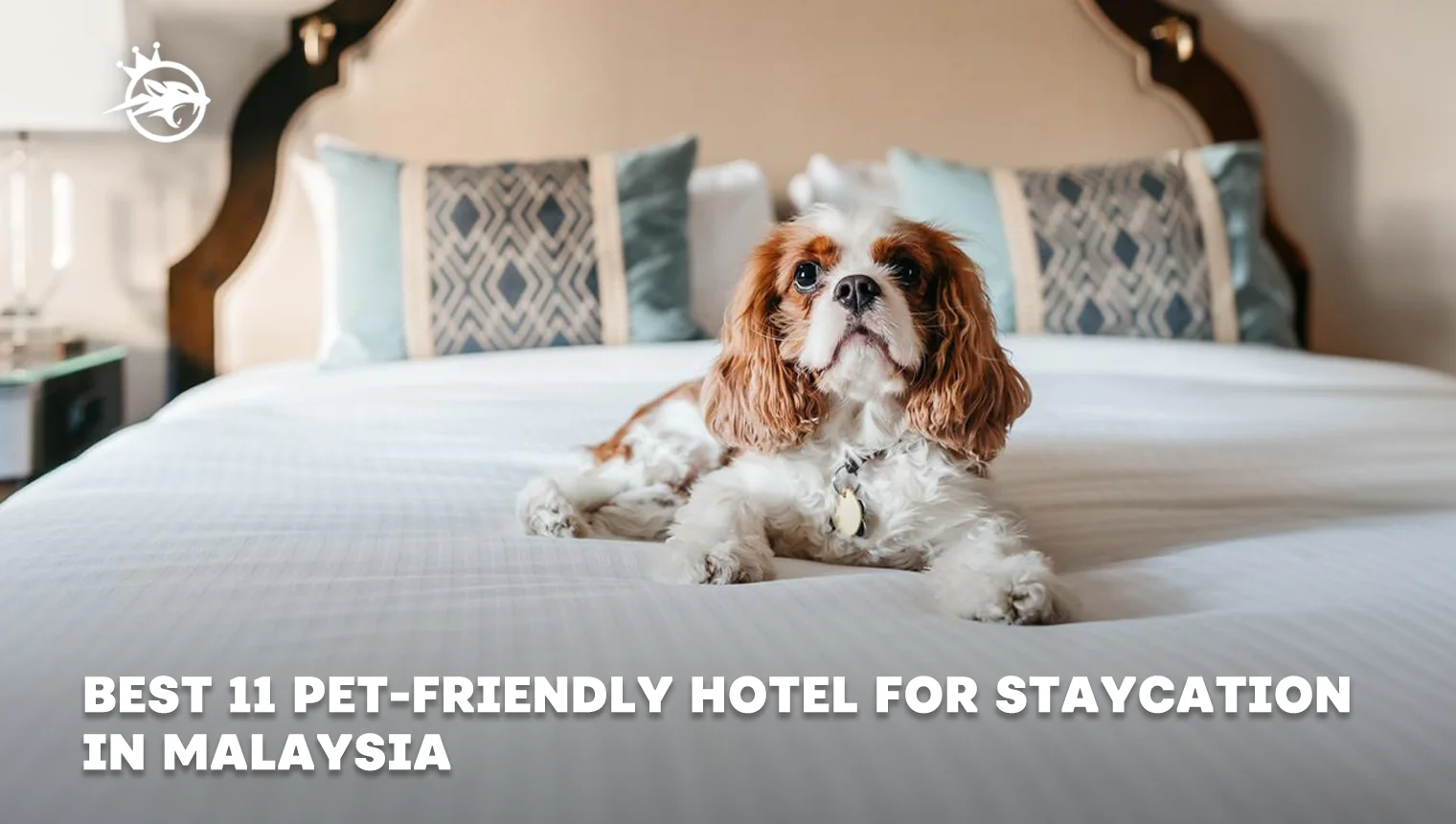 Best 11 Pet-Friendly Hotel for Staycation in Malaysia