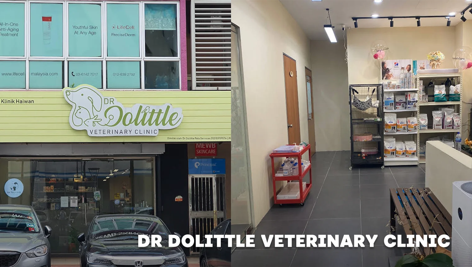 Dr Dolittle Veterinary Clinic
