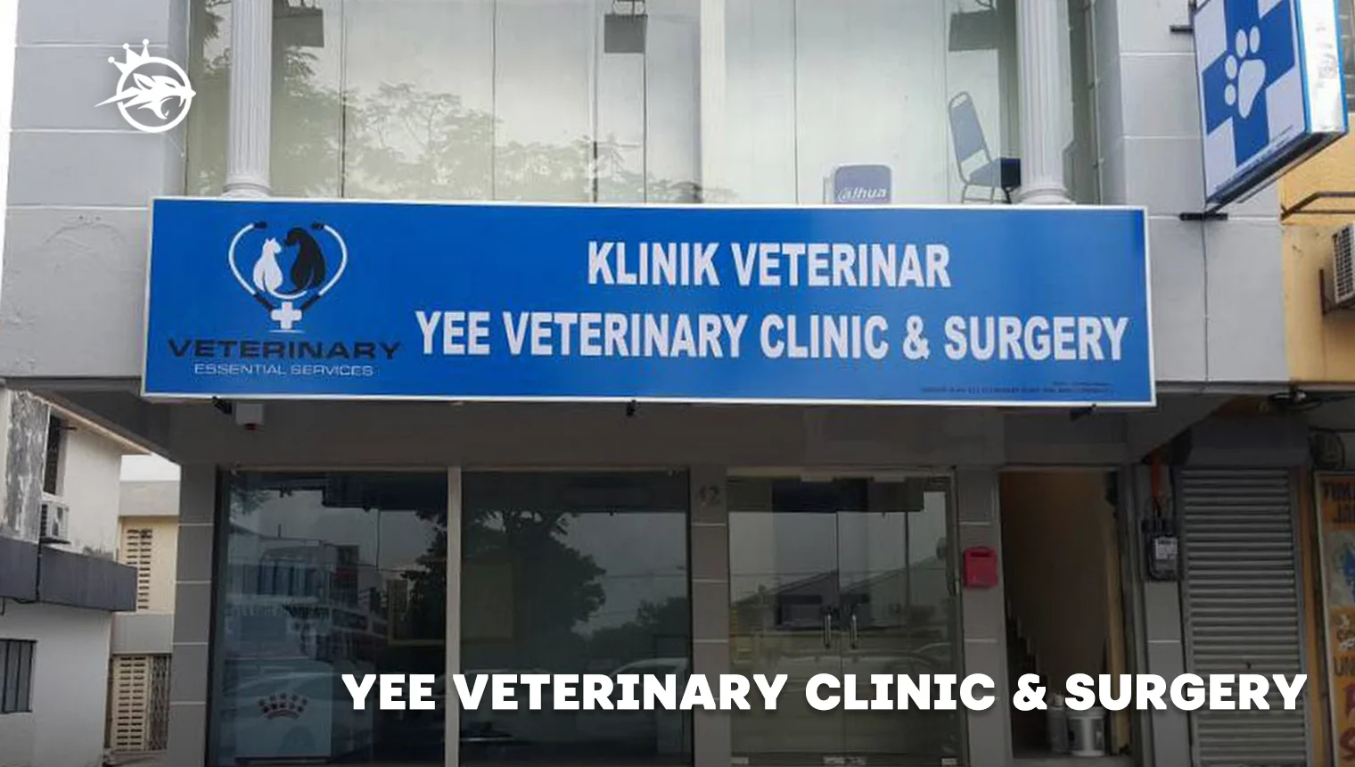 Yee Veterinary Clinic _ Surgery