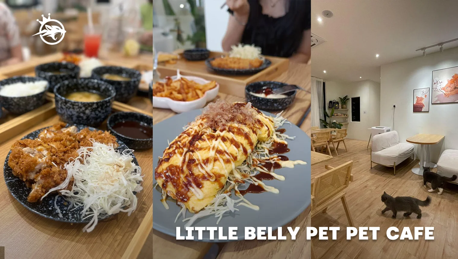 little belly pet pet cafe