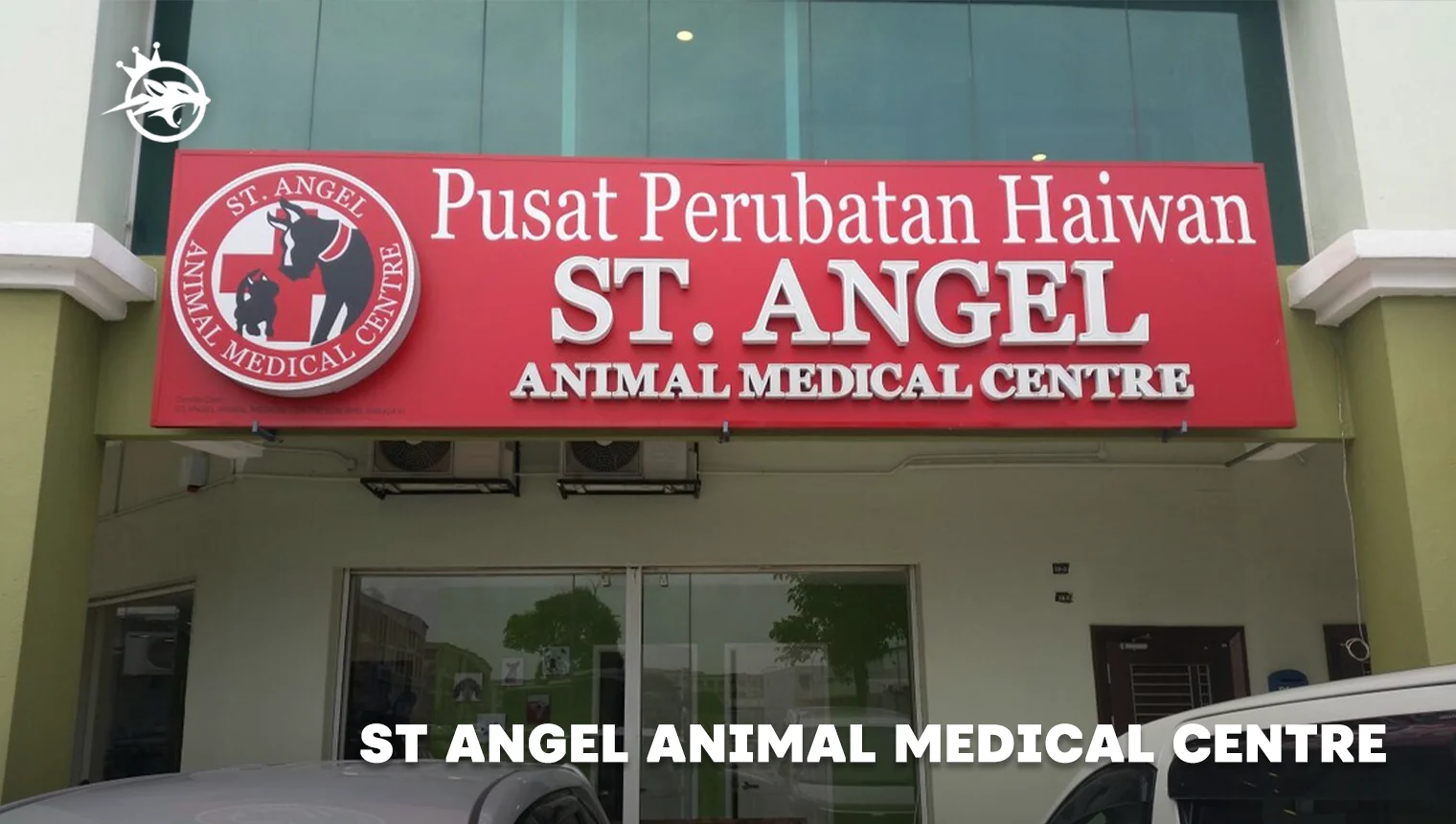 st angel animal medical centre