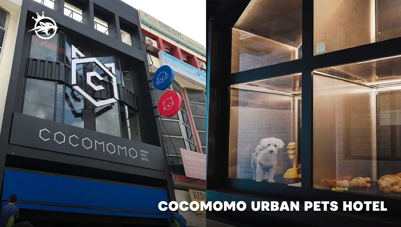 Cocomomo Urban Pets Hotel