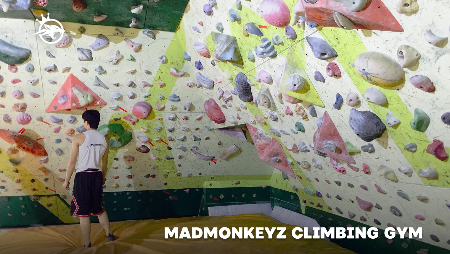 MadMonkeyz Climbing Gym