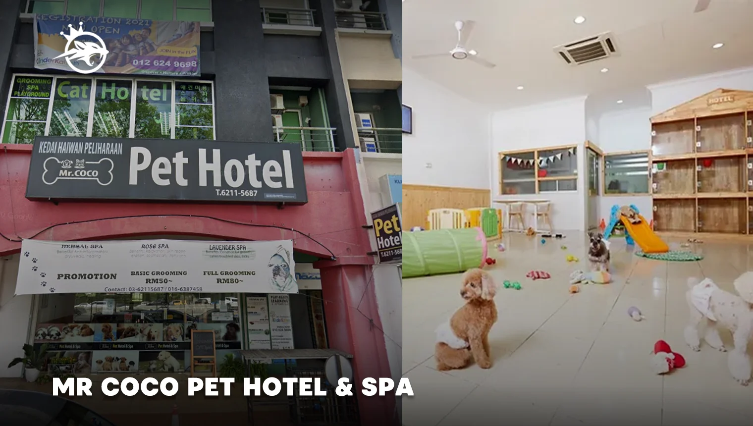 Mr Coco Pet Hotel _ Spa
